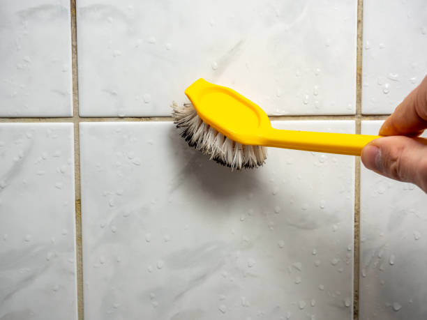 Best Emergency Mold Remediation in Raven, VA