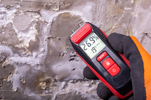 Best Residential Mold Remediation in Raven, VA