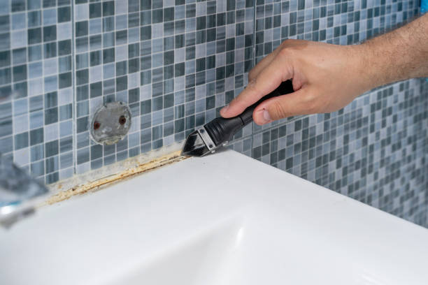 Best Post-Flood Mold Remediation in Raven, VA