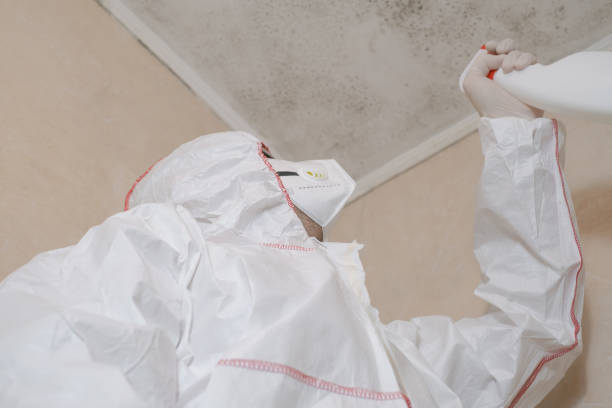 Best Bathroom Mold Remediation in Raven, VA